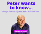 300x250 Peter Sagal1x preview image