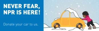 Winter Car Public Television High Res 300x95 preview image