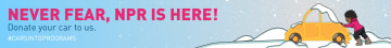 Winter Car Public Television High Res 728x90 preview image