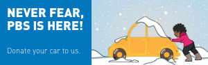 Winter Car Public Television 300x95 preview image