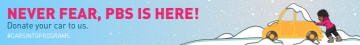 Winter Car Public Television 728x90 preview image